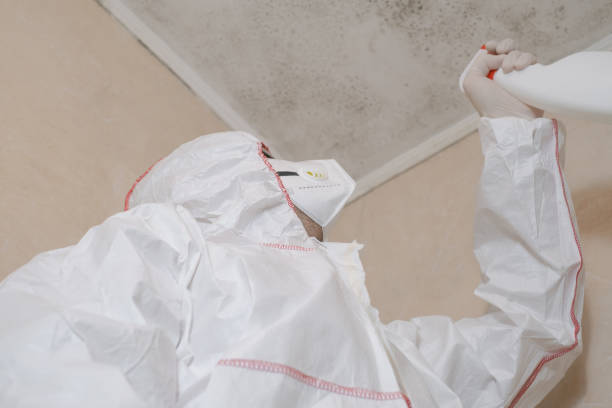 Best Health and Safety Mold Remediation in Crystal River, FL